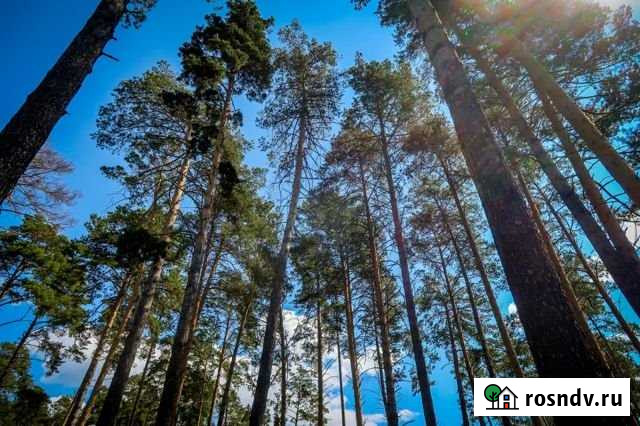 Коттедж 477 м² на участке 25 сот. на продажу в Новосибирске Новосибирск - изображение 1