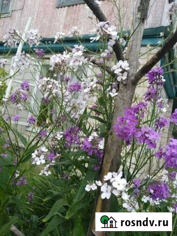 Дача 70 м² на участке 6 сот. на продажу в Орле Орёл - изображение 1