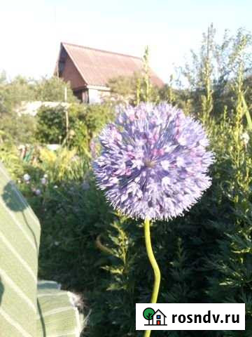 Участок СНТ, ДНП 4 сот. на продажу в Миассе Миасс - изображение 1