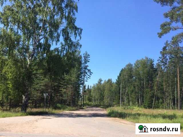 Участок СНТ, ДНП 10 сот. на продажу в Сосновом Бору Сосновый Бор - изображение 1