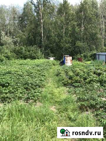 Участок СНТ, ДНП 6 сот. на продажу в Сентябрьском Сентябрьский - изображение 1