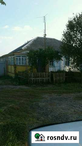 Дом 60 м² на участке 12 сот. на продажу в Грибановском Грибановский - изображение 1