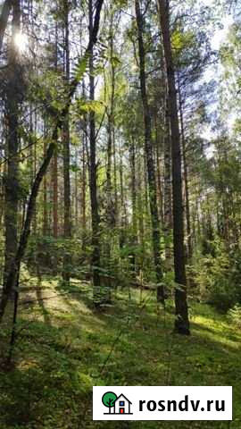 Участок ИЖС 25 сот. на продажу в Ветлужском Нижегородской области Ветлужский - изображение 1