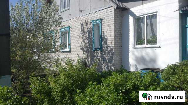 Дом 63.3 м² на участке 26 сот. на продажу в Топчихе Топчиха - изображение 1