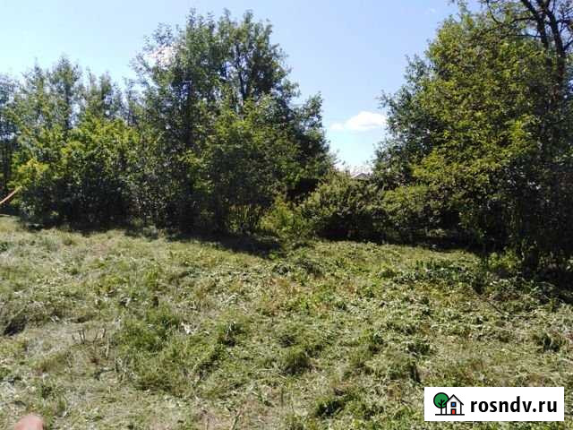 Участок СНТ, ДНП 1173 сот. на продажу в Минусинске Минусинск - изображение 1