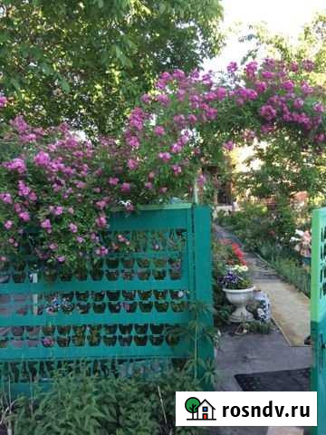 Дача 70 м² на участке 6 сот. на продажу в Ростове-на-Дону Ростов-на-Дону - изображение 1