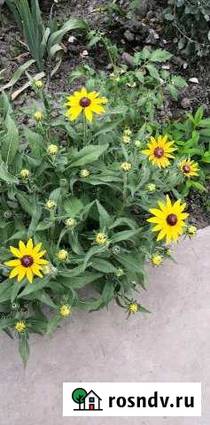 Участок ИЖС 30 сот. на продажу в Магарамкенте Магарамкент - изображение 1