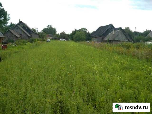 Участок ИЖС 10 сот. на продажу в Сиверском Сиверский - изображение 1