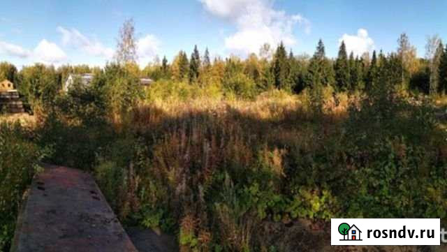 Участок СНТ, ДНП 40 сот. на продажу в Гостилицах Гостилицы - изображение 1