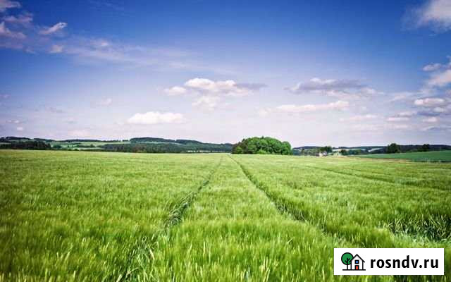 Участок ИЖС 40 сот. на продажу в Красноярке Красноярка - изображение 1