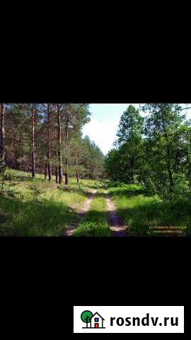 Участок СНТ, ДНП 45 сот. на продажу в Бору Бор - изображение 1