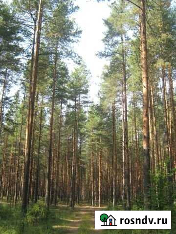 Участок СНТ, ДНП 15 сот. на продажу в Великом Новгороде Великий Новгород - изображение 1