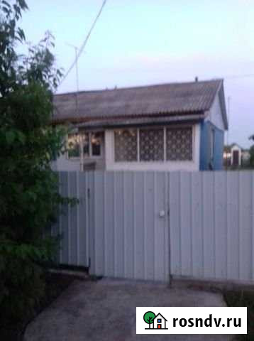 Дом 46 м² на участке 30 сот. на продажу в Благовещенске Амурской области Благовещенск - изображение 1