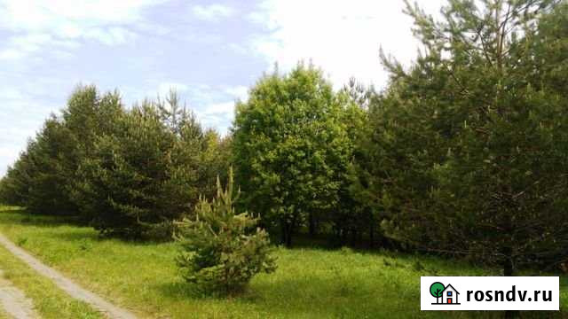 Участок СНТ, ДНП 36 сот. на продажу в Мурыгино Мурыгино - изображение 1