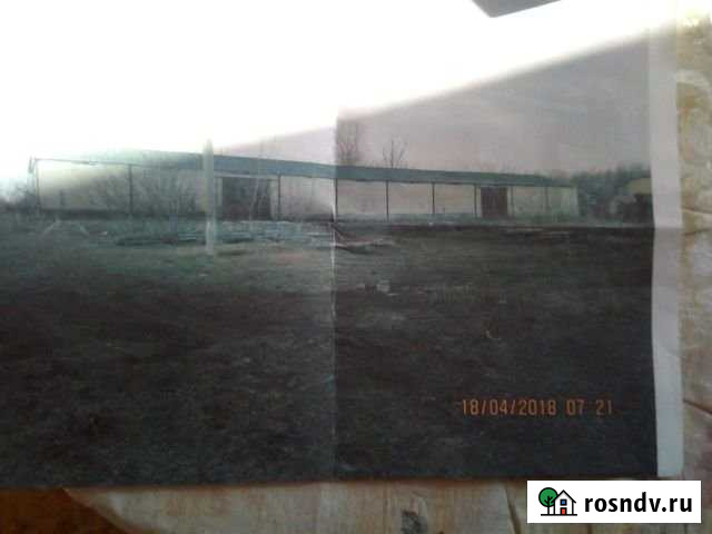 Участок СНТ, ДНП 20000 сот. на продажу в Топчихе Топчиха - изображение 1