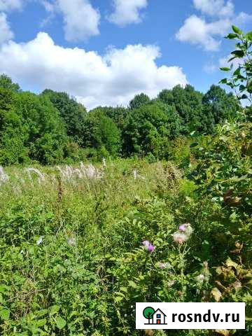 Участок ИЖС 50 сот. на продажу в Ефремове Ефремов - изображение 1