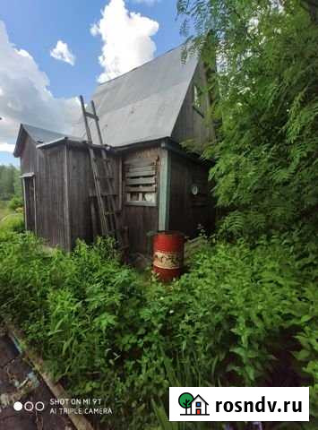 Дача 20 м² на участке 10 сот. на продажу в Сыктывкаре Сыктывкар - изображение 1