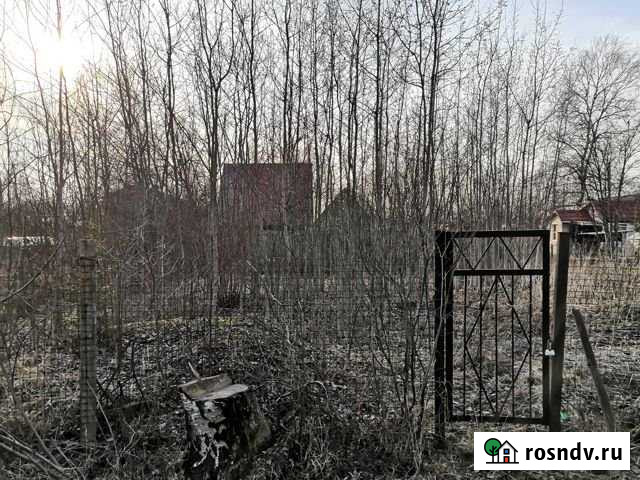 Участок СНТ, ДНП 6 сот. на продажу в Краснозаводске Краснозаводск - изображение 1