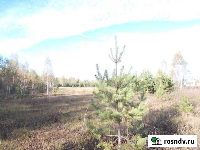 Участок СНТ, ДНП 740 сот. на продажу в Костерево Костерево - изображение 1