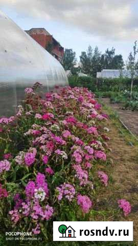 Дом 60 м² на участке 7 сот. на продажу в Суворове Суворов - изображение 1