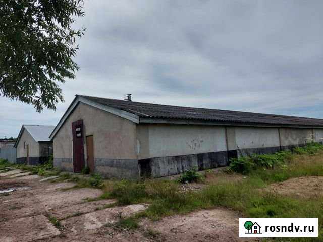 Производственное помещение, 1960 кв.м. Кольчугино - изображение 1