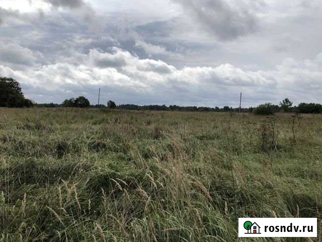 Участок СНТ, ДНП 943 сот. на продажу в Бежаницах Бежаницы - изображение 1