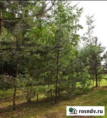 Участок СНТ, ДНП 24 сот. на продажу в Старом Осколе Старый Оскол - изображение 1