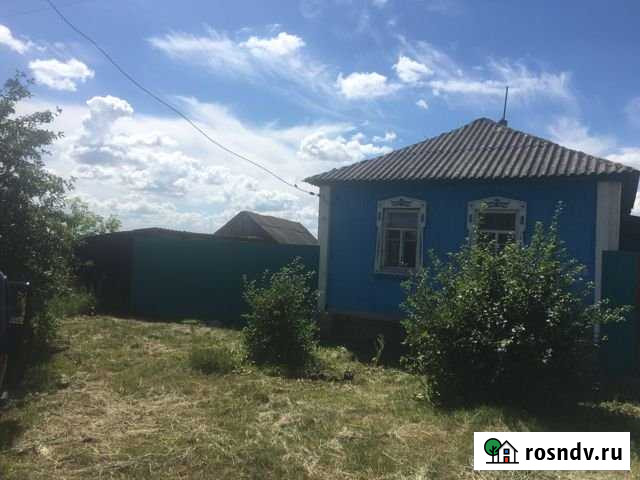 Дом 45 м² на участке 25 сот. на продажу в Репьевке Репьевка - изображение 1