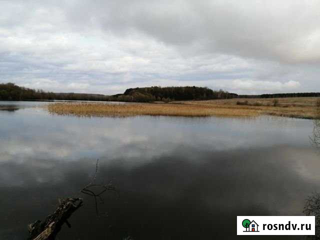 Участок ИЖС 2000 сот. на продажу в Туле Тула - изображение 1