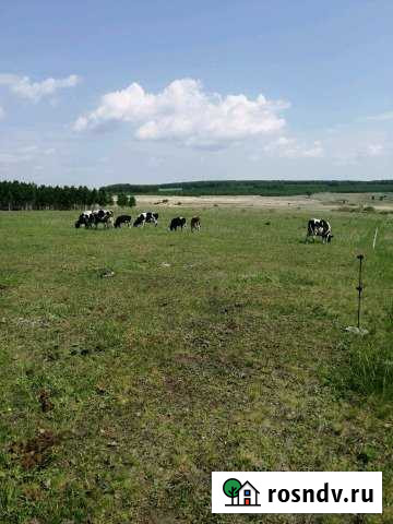 Участок СНТ, ДНП 1690 сот. на продажу в Шадринске Шадринск - изображение 1