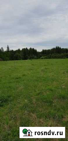 Участок ИЖС 43 сот. на продажу в Арти Арти - изображение 1