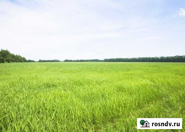 Участок ИЖС 15 сот. на продажу в Новозавидовском Новозавидовский - изображение 1