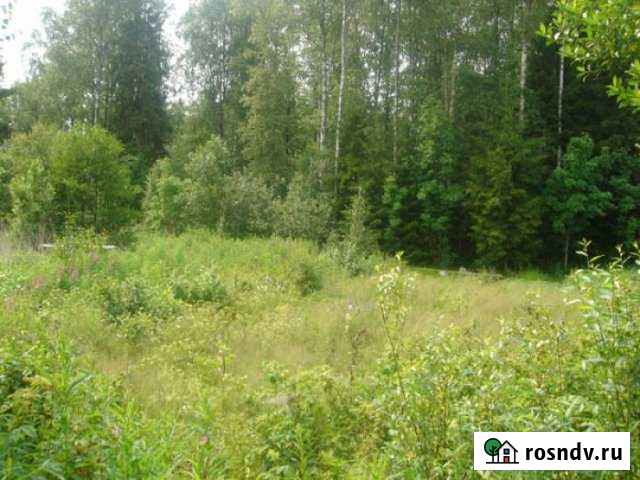 Участок СНТ, ДНП 10 сот. на продажу в Волхове Волхов - изображение 1