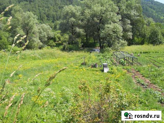 Участок СНТ, ДНП 1200 сот. на продажу в Горно-Алтайске Горно-Алтайск - изображение 1