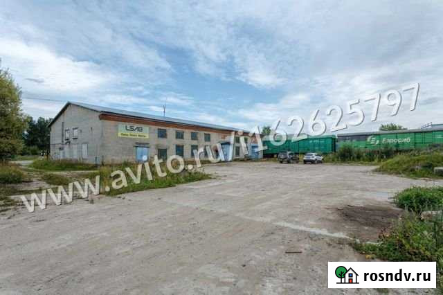Сдам производственное помещение, 700.00 кв.м. Колпино - изображение 1
