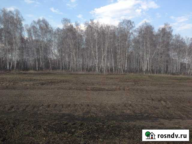 Участок ИЖС 14 сот. на продажу в Барнауле Барнаул - изображение 1