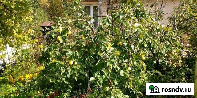 Дача 70 м² на участке 4.6 сот. на продажу в Красноармейске Московской области Красноармейск - изображение 1