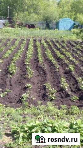 Участок СНТ, ДНП 6 сот. на продажу в Ульяновске Ульяновск - изображение 1