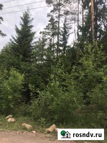 Участок ИЖС 10 сот. на продажу в Сертолово Сертолово - изображение 1