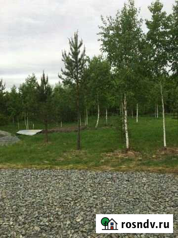 Участок СНТ, ДНП 15 сот. на продажу в Ревде Свердловской области Ревда - изображение 1