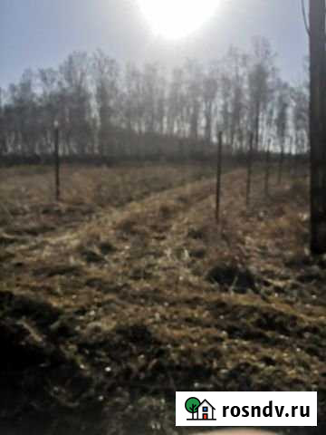 Участок ИЖС 10 сот. на продажу в Емельяново Емельяново - изображение 1