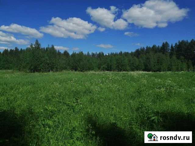 Участок ИЖС 20 сот. на продажу в Судах Суда - изображение 1