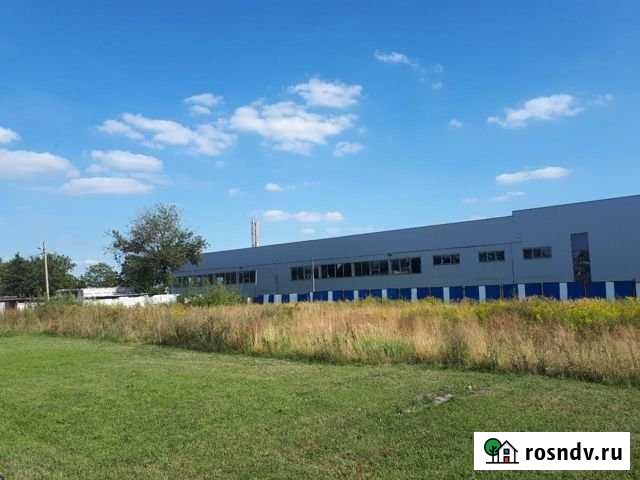 Участок промназначения 25 сот. на продажу в Калининграде Калининград - изображение 1