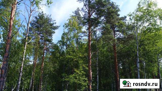 Участок СНТ, ДНП 16 сот. на продажу в Санкт-Петербурге Санкт-Петербург - изображение 1