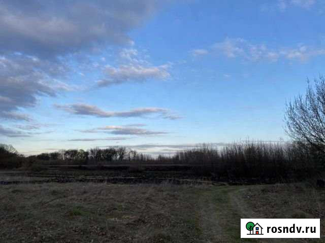 Участок промназначения 30 сот. на продажу в Черницыно Черницыно - изображение 1