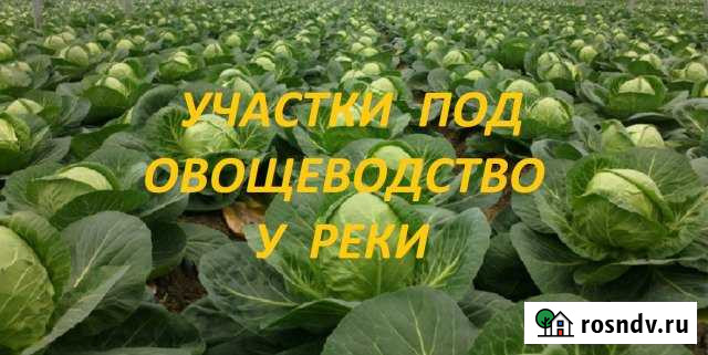 Участок СНТ, ДНП 1000 сот. на продажу в Карсуне Карсун - изображение 1