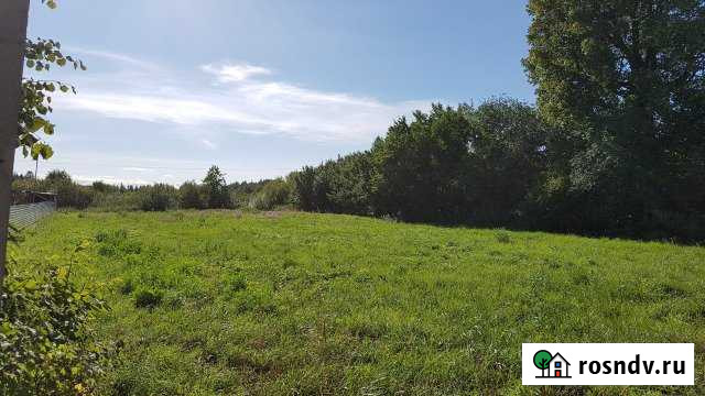 Дом 43 м² на участке 40 сот. на продажу в Усть-Лугах Усть-Луга - изображение 1