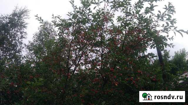 Участок СНТ, ДНП 6 сот. на продажу в Суроватихе Суроватиха - изображение 1