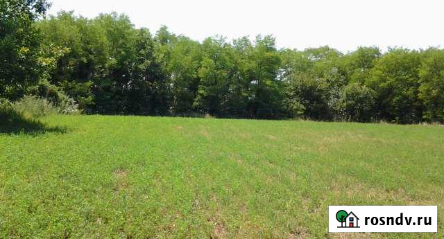 Участок СНТ, ДНП 52 сот. на продажу в Новолабинской Новолабинская - изображение 1