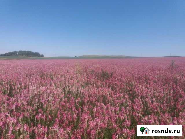 Участок ИЖС 9 сот. на продажу в Азнакаево Азнакаево - изображение 1